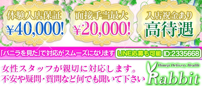 姫路ラビット