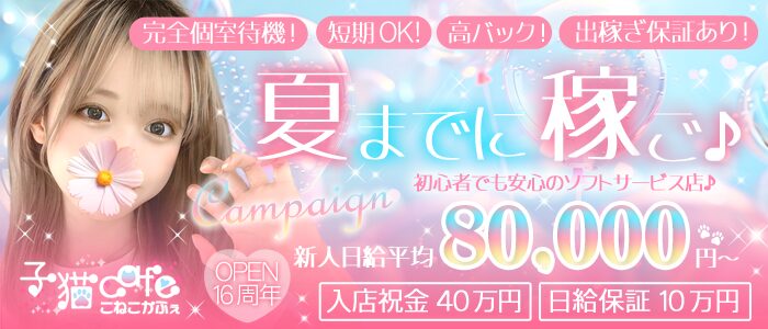 子猫カフェ

