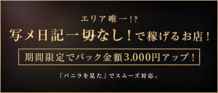  OLA子。