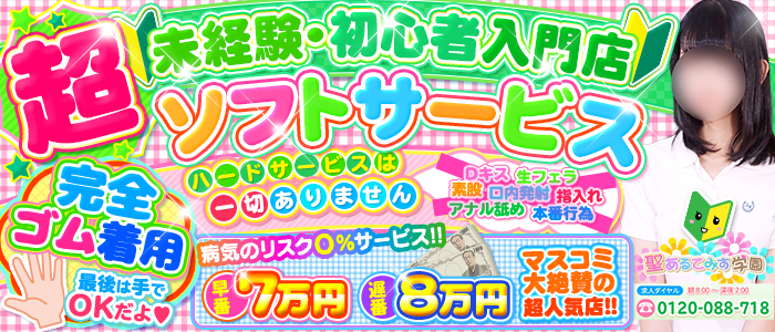聖あるてみす学園